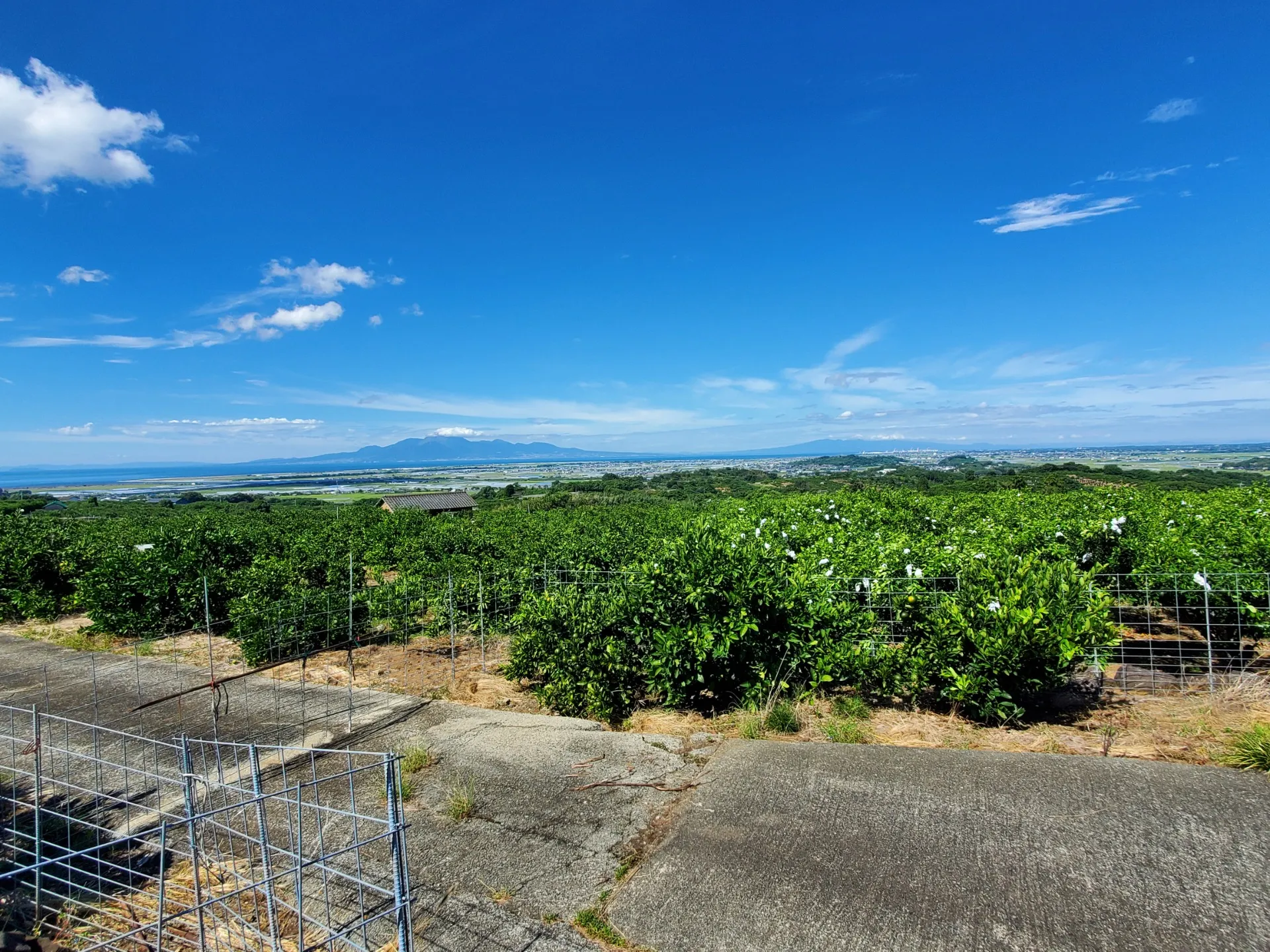 ホームページリニューアルしました